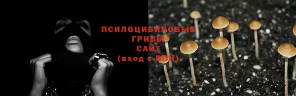 спайс Белокуриха