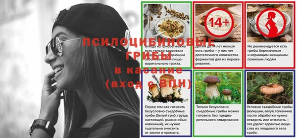 спайс Белокуриха