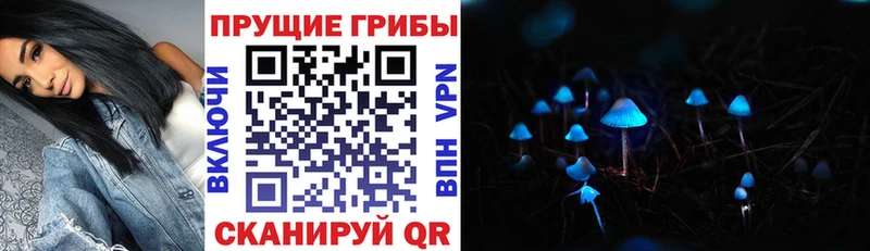 Псилоцибиновые грибы Magic Shrooms  Валуйки 