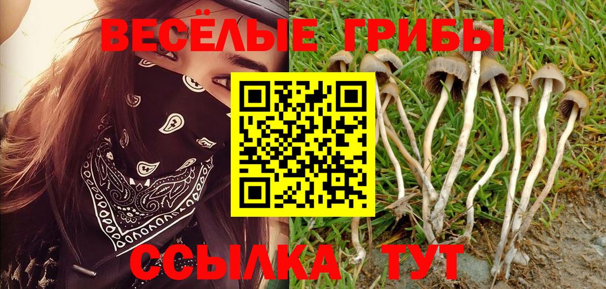 Валуйки  Галлюциногенные грибы GOLDEN TEACHER  Вход с VPN 
